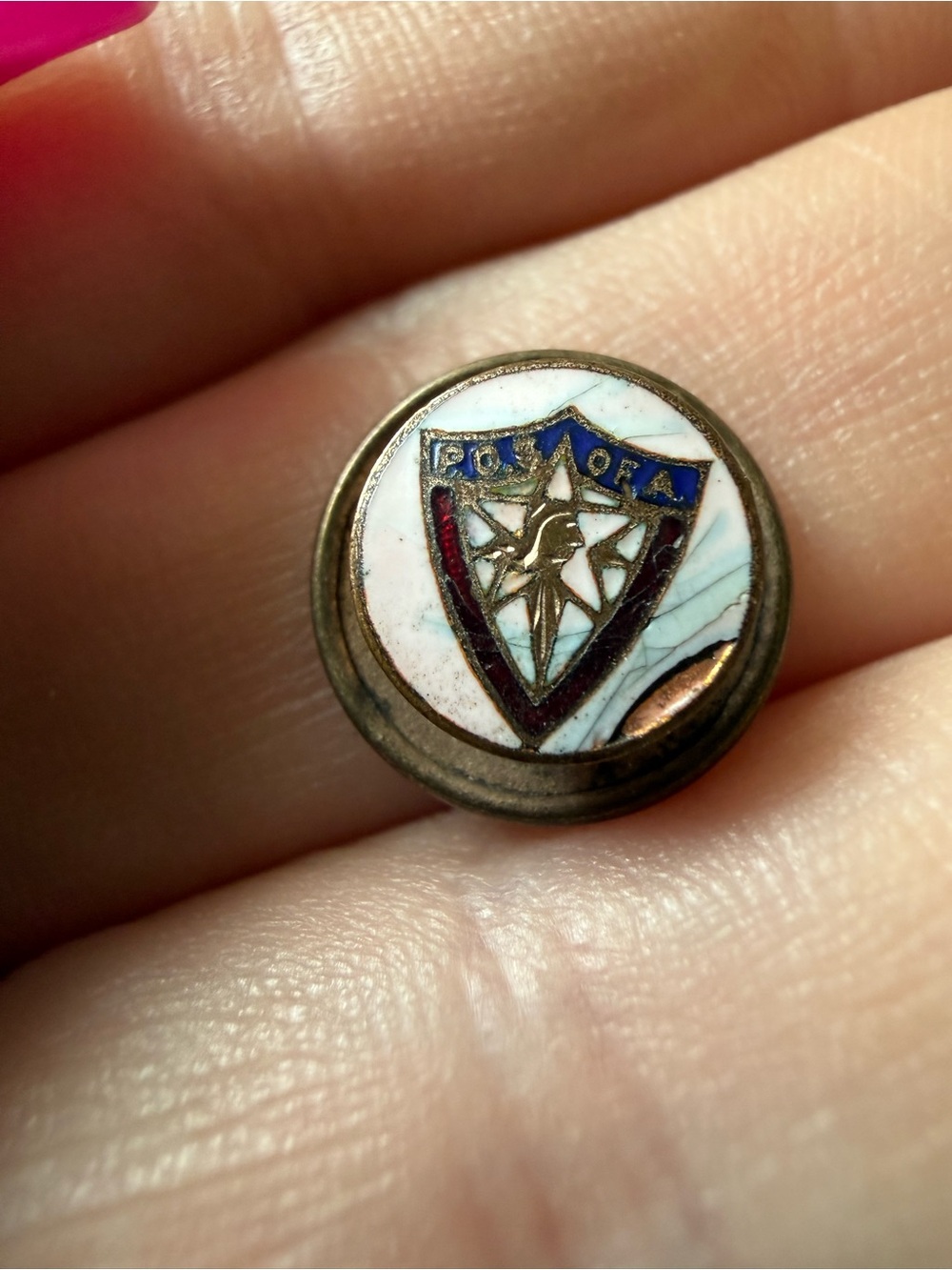 Vintage Patriotic Order Sons of America Enamel Lapel Pin